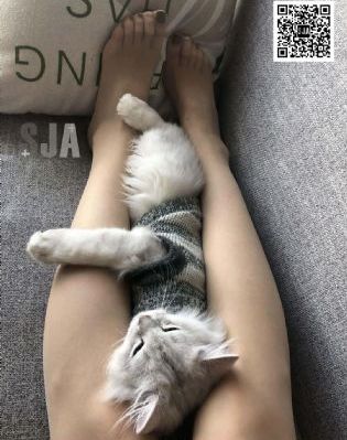一级黄色国产_蓝光免费在线播放